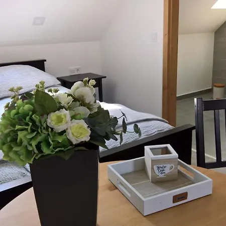 Apartment Rozalia Vendeghaz 2 *